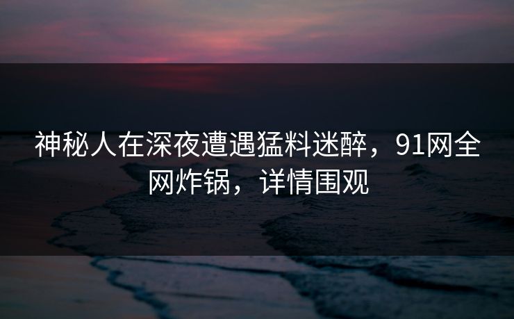 神秘人在深夜遭遇猛料迷醉，91网全网炸锅，详情围观