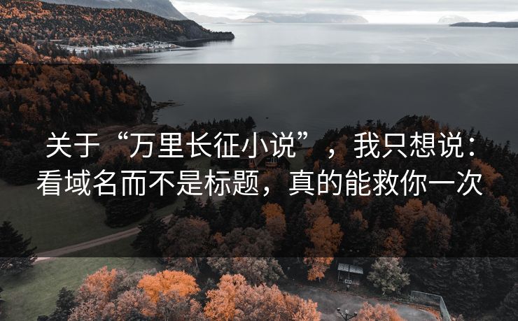 关于“万里长征小说”，我只想说：看域名而不是标题，真的能救你一次