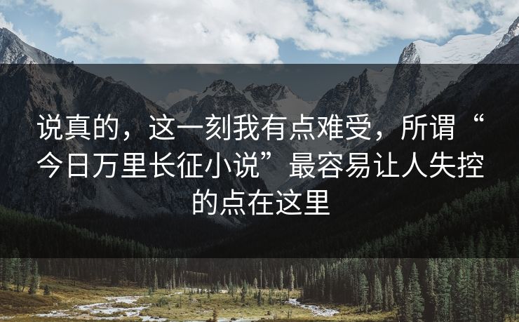 说真的，这一刻我有点难受，所谓“今日万里长征小说”最容易让人失控的点在这里